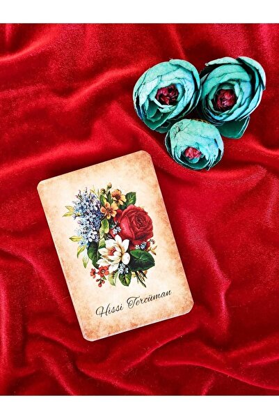 Tarot Hissi Tercüman Oracle Destesi