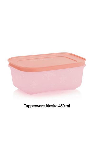 Tupperware Alaska 450ml Set of 4 - Deep Freezer and Refrigerator Storage Container