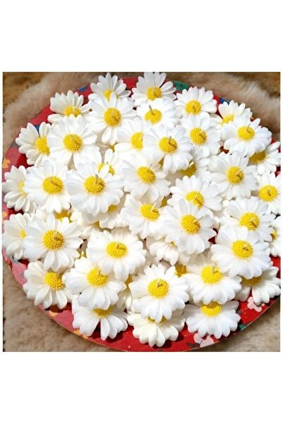 candleistanbul Bernami Papatya Suda Yüzen Mum 1 Adet Renk Yapılır Kokulu Mum