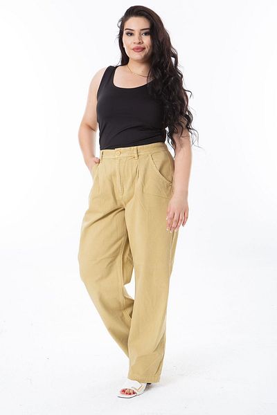 Şans Beige Ribs Fabric Side Pocket Pleated Large Size Women's Trousers - 65N38272