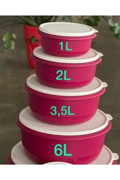 Tupperware Miksim Set of 4 Dried Rose 6 Lt 3.5 Lt 2 Lt 1 Lt