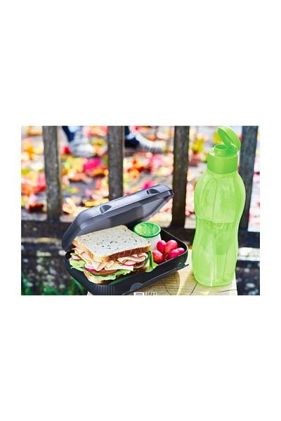 Tupperware Lunch Boxes