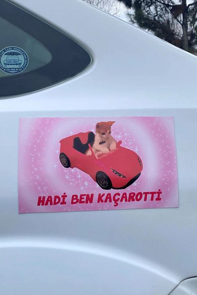 Namgo Sunt eu Caçarotti - Magnet pentru mașină