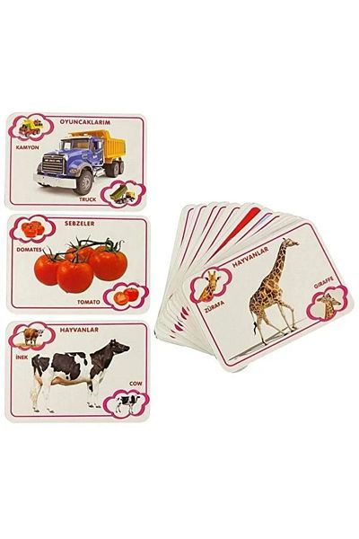 Play Wood Educational Picture Information Card(Ony24)