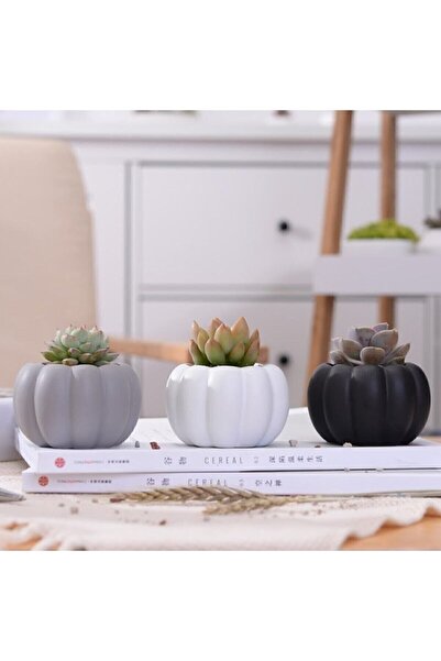 Genel Markalar 3'lü Kabak Saksı Seti