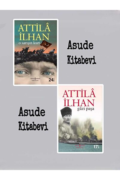 TÜRKİYE İŞ BANKASI KÜLTÜR YAYINLARI O Sarışın Kurt -  Gazi Paşa -ATİLLA İLHAN...
