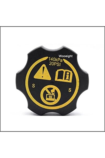 General Motors Kapak Yedek Su Deposu Cruze