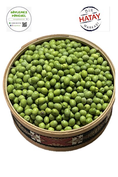 GEREKSEAL ham zeytin yeşil zeytin (2025 yeni mahsül) kendi zeytinini kendin yap
