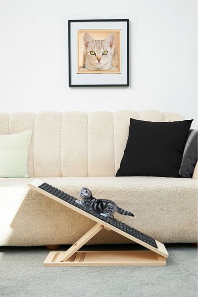 ESLENTA Adjustable Cat Climbing Ramp and Board