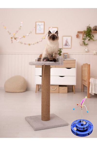 Quun Emse Natural Wooden Cat Toy - Two Balls with Spring