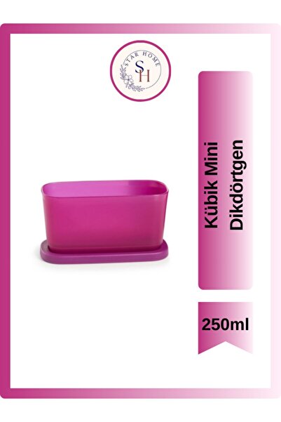 Tupperware Mini Kübik Dikdörtgen 250ml
