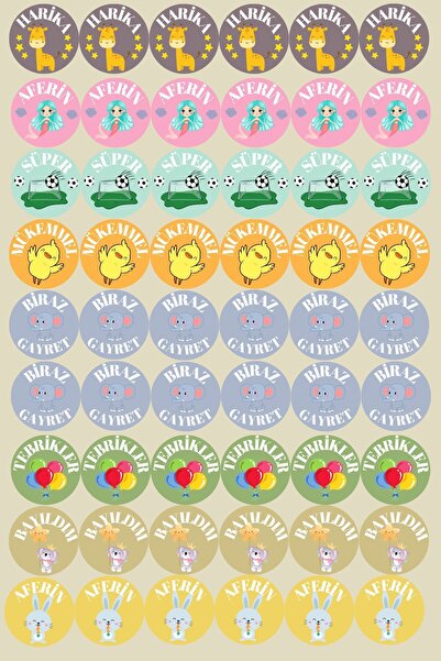 sanatıbedi 100 de bucăți autocolante pentru teme bine făcute pentru profesori