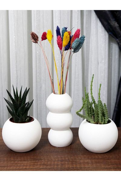 stonnish 14 cm Bubble Vase and 2 Succulent Decorative Set - Raw White