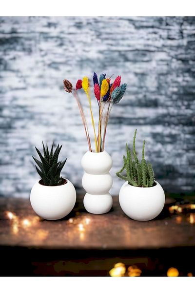 stonnish 14 cm Bubble Vase and 2 Succulent Decorative Set - Raw White