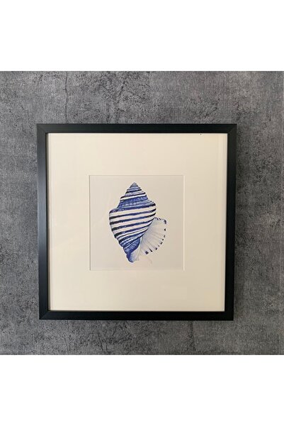 Mondschein Mavi Deniz Kabuğu Dekoratif Duvar Tablo ( 43,0 x 43,0 x 1,8 Cm )