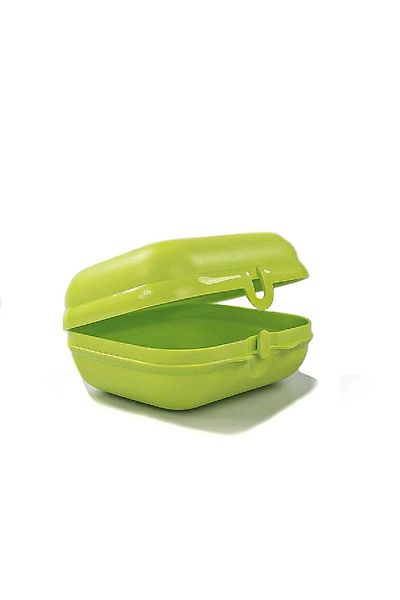 Tupperware Large Oyster Lunch Box - Transport and Storage Container