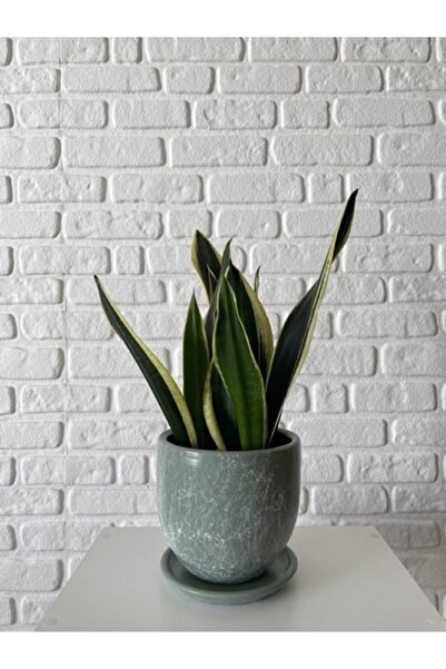 odka 8litre Saksı Tabaklı Yükseklik:17cm Çap:19cm Mia Mint Yeşili Mermer Desenli