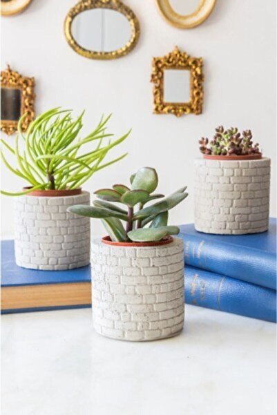 ÇİÇEKHOME Sukulent Saksı