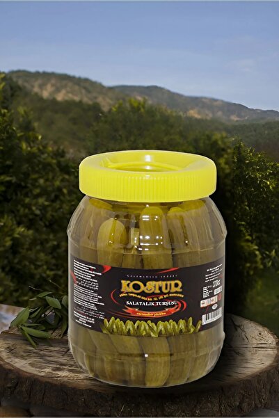 1500 CC 1 NUMARA SALATALIK TURŞUSU