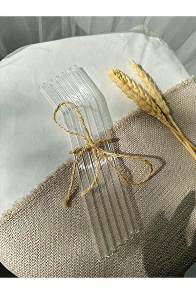 Retrobird مجموعة من 6 شفاطات زجاجية - استخدام مريح