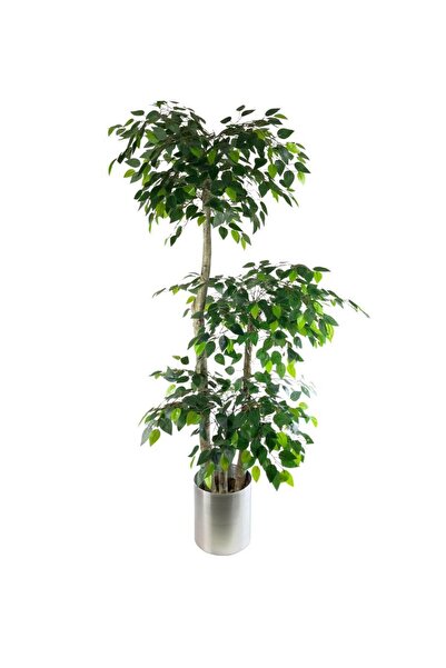 Nettenevime Yapay Ağaç 3 Katlı Benjamin Galvaniz Saksıda 190 Cm 1.kalite Yapay Çiçek Dekoru