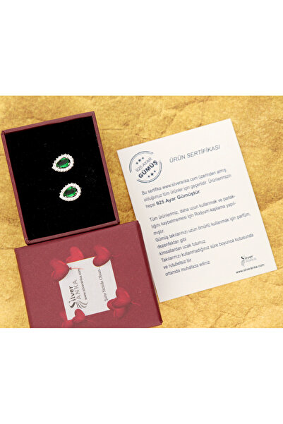 Silveranka 925 Ayar Gümüş Damla Taşlı  Anturaj Küpe