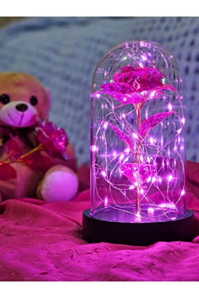 zanfagroup Sevgililer Günü Dekoratif Pembe Peri Led Işıklı Solmayan Sonsuzluk...