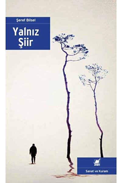 Ayrıntı Yayınları Yalnız Şiir