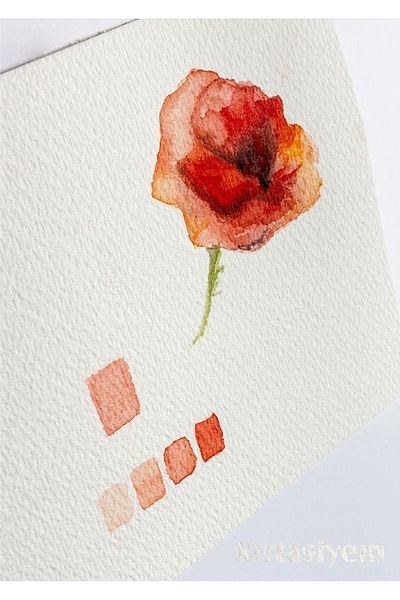 Alex Schoeller Watercolor Paper 35x50 300 gr 10 Pack Alx-0608