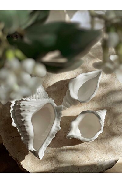 Decorative Oyster 3-Piece Set Jewelry Bowl Concrete Object