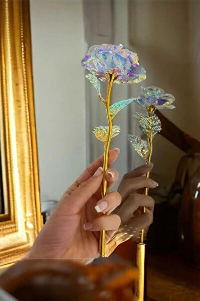 Saltos Solmayan Gül Ve Kırmızı Gül Kolye Hediye Seti Doğum Günü Hediyesi Kutusu Sevgiliye Arkadaşa Set