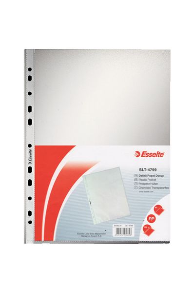 Esselte Bag File A4 Frosted Transparent 4799-1-pcs-pkt