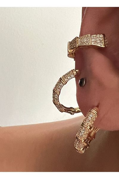 tones official Snake Model Zircon Stone Cartilage Earrings