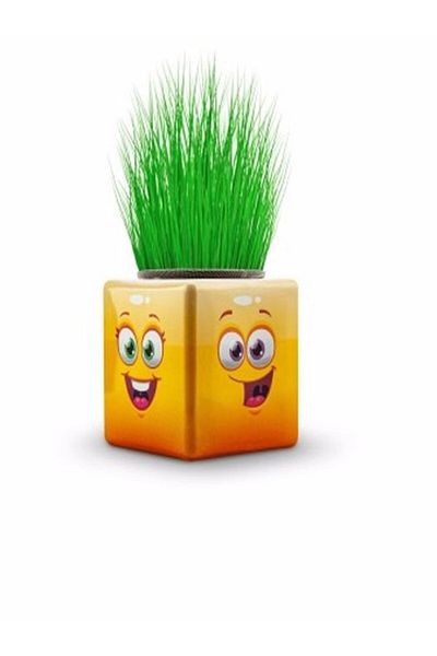Çimoji 24 Pieces Grass Man Cube Colorful New Product