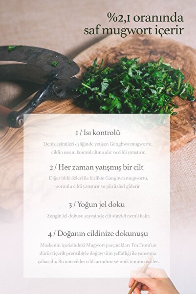 I'm From Mugwort Mask (KORENDY) Yatıştırıcı Hassas Cilt Maskesi 110 gr