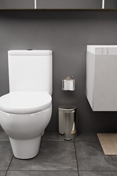 mba decor metal bending art مرحاض مريح موديل Luxay - تركيب فضي، حامل ورق غير مطلوب، شماعة مرحاض