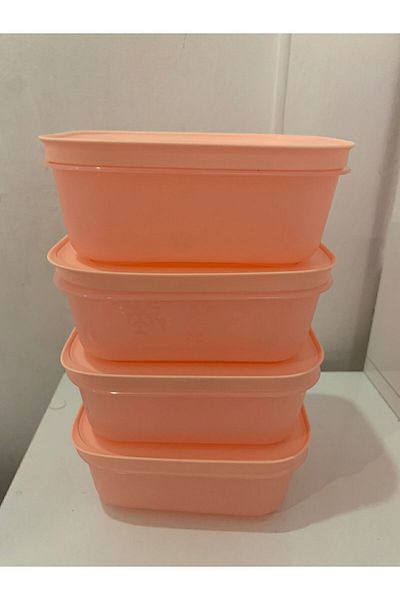 Tupperware Alaska 450ml Set of 4 - Deep Freezer and Refrigerator Storage Container
