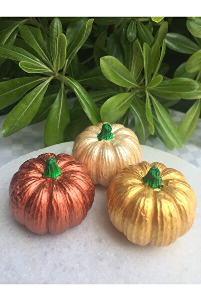 Minik Dükkan El Yapımı Dekoratif Kabak