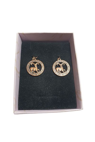 Ororabutik Copper Color 25mm Aries Figure Necklace and Earring Set