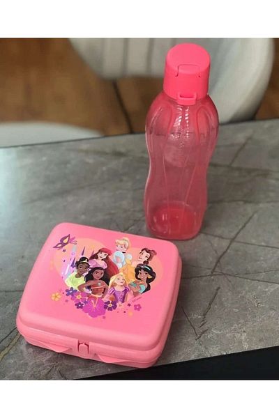 Tupperware 500 ml Capacity Water Bottle and Sandwich Box