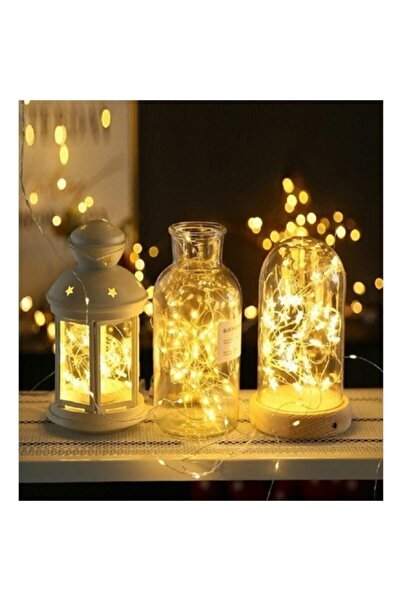 ViraHome Peri Led Gün Işığı Dekoratif Ayıdnlatma Ev Süsü Çerçeve Pilli 3 Metre