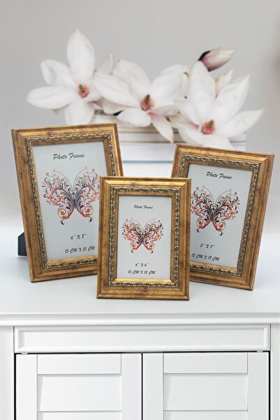 Seniste Modena Camlı Dekoratif Resim Çerçevesi 3'lü Gold Eskitme Ayarlanabili...