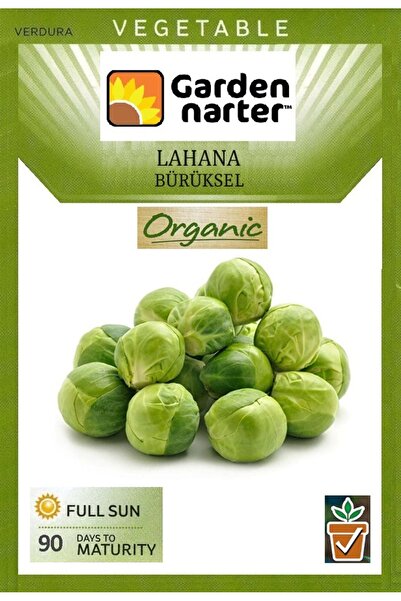 GARDEN NARTER Brüksel Lahana Tohumu Doğal Organik Tohum Pakette 100 Tohum