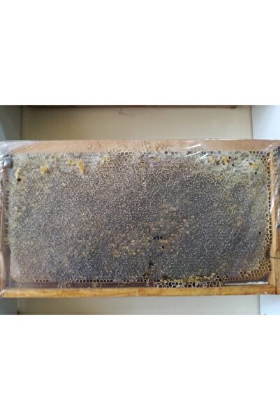 OZMUŞ BAL Kekik Petek Çıta Bal 3,7kg--4kg