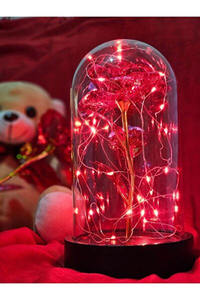 zanfagroup Sevgililer Günü Dekoratif Kırmızı Peri Led Işıklı Solmayan Sonsuzl...