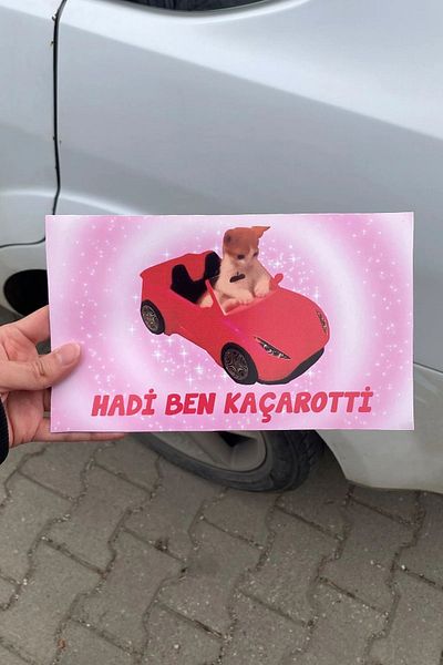 Namgo Sunt eu Caçarotti - Magnet pentru mașină