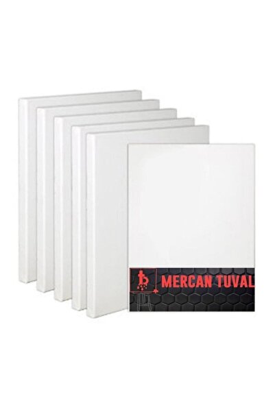 mercan tuval 20x20 Cm 10'lu Paket Arkadan Zımbalı Tual 202010