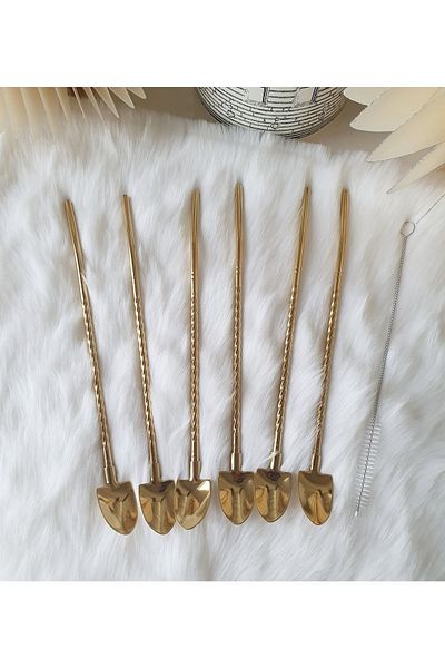 LOVYCO Gold 6-Piece Twisted Latte Spoon with Straws 22 Cm