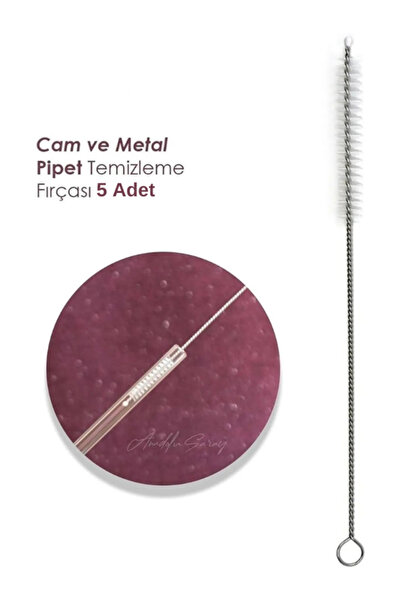 Acarlar Ticaret 5 Adet Cam Pipet, Metal Pipet Temizleme Fırçası