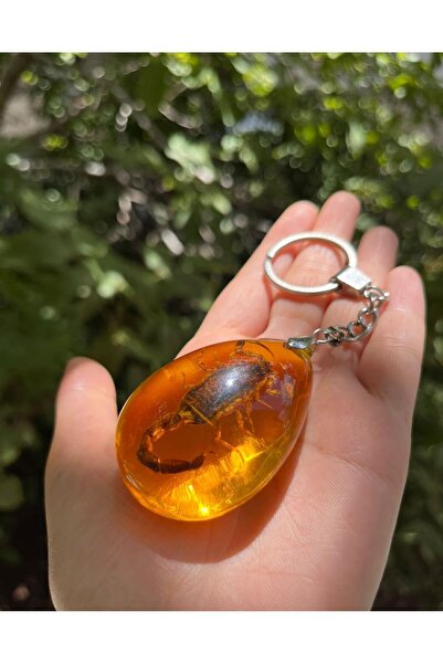 Kehribar Akrep Fosilli Anahtarlık (WOMİ)